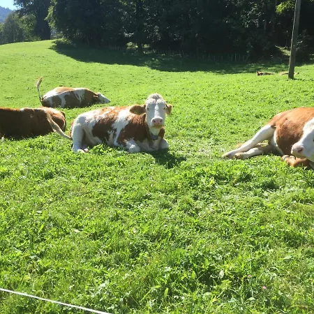Roislerlehen