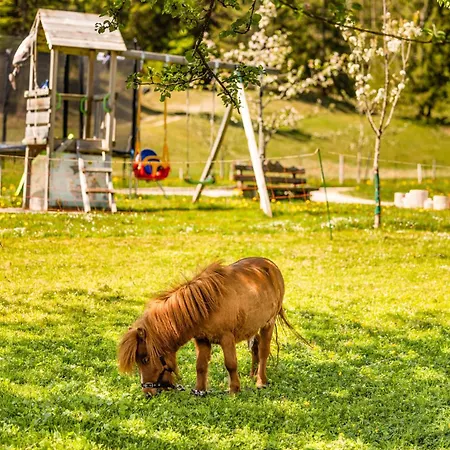 Roislerlehen Alojamento de Turismo Rural *