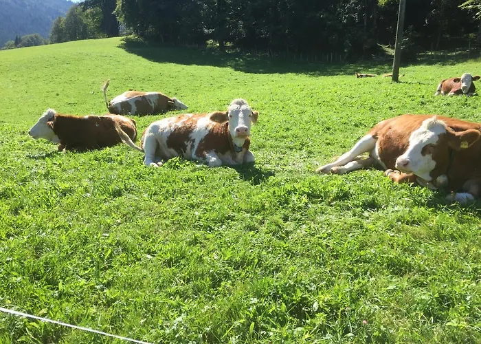 Roislerlehen